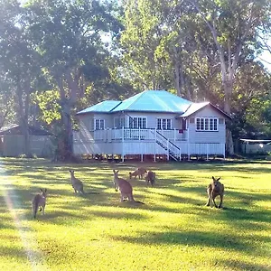  Lodge Weyba Noosa & Kangaroos Australië